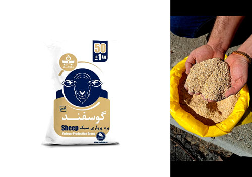 کنسانتره-پرواری-برای-افزایش-سریع-وزن-دام